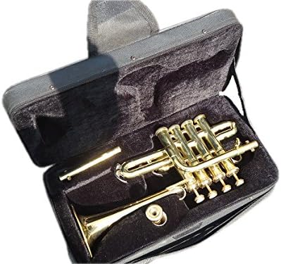 Trompeta Piccolo Queen Brass Bb A – Latón Dorado con Estuche